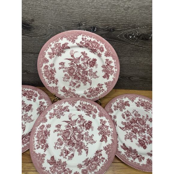 Royal Stafford Asiatic Pheasant Red Fine Earthenware 11” Dinner Plates -5 Pc Set - Picture 8 of 12